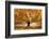 Gold colors-Nel Talen-Framed Photographic Print