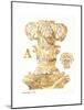 Gold Column A-Gwendolyn Babbitt-Mounted Art Print