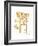 Gold Column B-Gwendolyn Babbitt-Framed Art Print