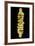 Gold Crown. Etruscan Civilization, 4th-3rd Century BC-null-Framed Giclee Print