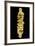 Gold Crown. Etruscan Civilization, 4th-3rd Century BC-null-Framed Giclee Print