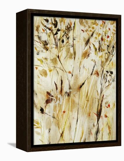 Gold Dawn Field I-Jodi Maas-Framed Premier Image Canvas