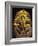 Gold Death Mask, Cairo, Egypt-Claudia Adams-Framed Photographic Print