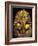 Gold Death Mask, Cairo, Egypt-Claudia Adams-Framed Photographic Print