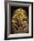 Gold Death Mask, Cairo, Egypt-Claudia Adams-Framed Photographic Print