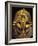 Gold Death Mask, Cairo, Egypt-Claudia Adams-Framed Photographic Print