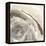 Gold Dust Nebula I-Chris Paschke-Framed Stretched Canvas