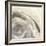 Gold Dust Nebula I-Chris Paschke-Framed Art Print
