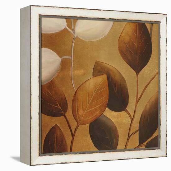 Gold Eco-Chic I-Patricia Pinto-Framed Stretched Canvas