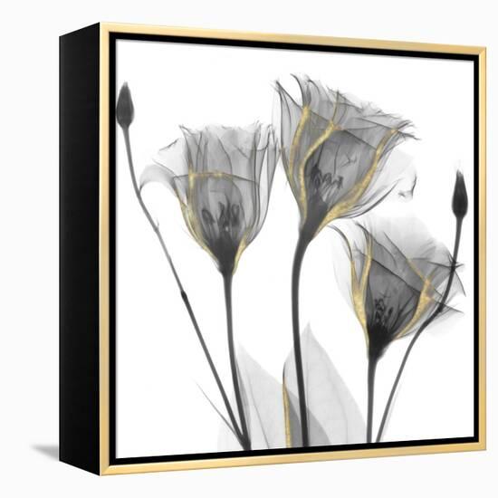 Gold Embellished Gentians 1-Albert Koetsier-Framed Premier Image Canvas