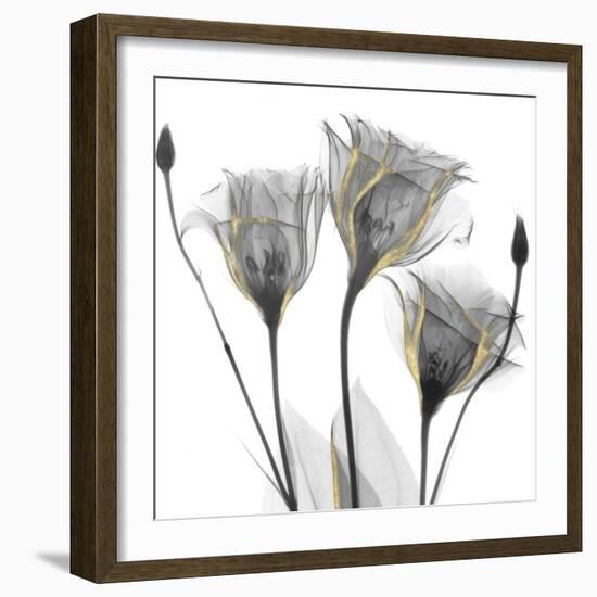 Gold Embellished Gentians 1-Albert Koetsier-Framed Photographic Print