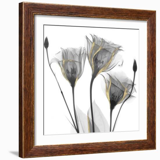 Gold Embellished Gentians 1-Albert Koetsier-Framed Photographic Print