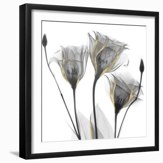 Gold Embellished Gentians 1-Albert Koetsier-Framed Photographic Print