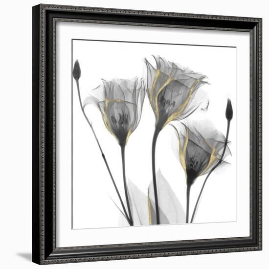 Gold Embellished Gentians 1-Albert Koetsier-Framed Photographic Print