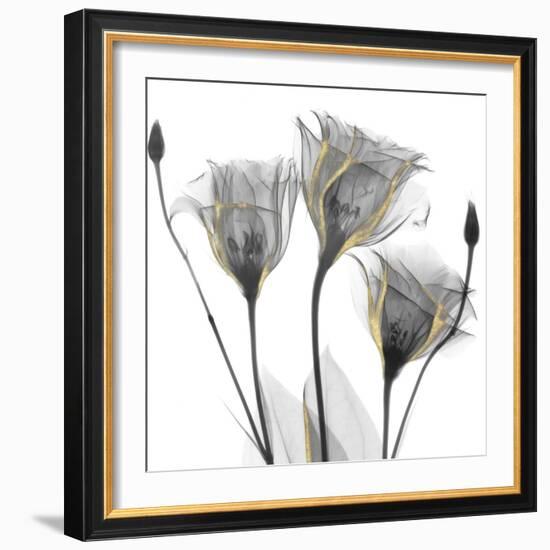 Gold Embellished Gentians 1-Albert Koetsier-Framed Photographic Print