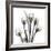 Gold Embellished Tulips 1-Albert Koetsier-Framed Photographic Print