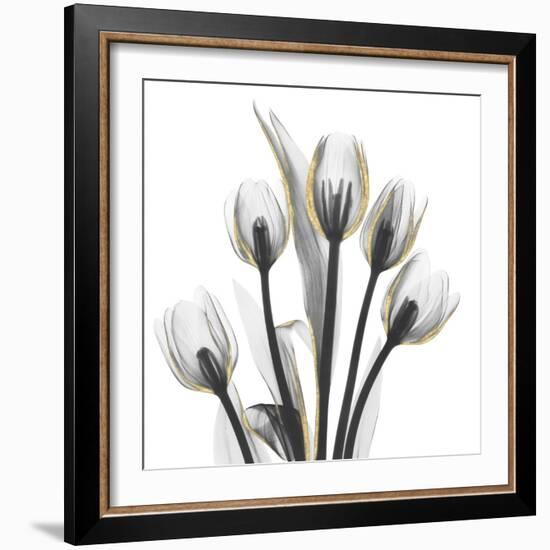 Gold Embellished Tulips 1-Albert Koetsier-Framed Photographic Print