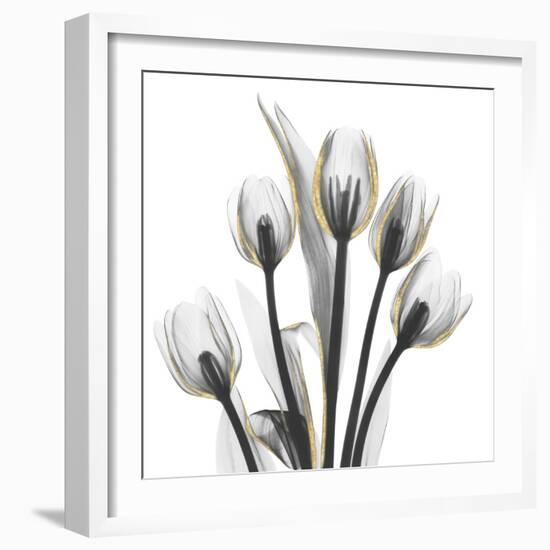 Gold Embellished Tulips 1-Albert Koetsier-Framed Photographic Print