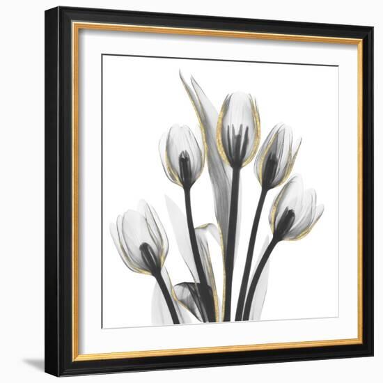 Gold Embellished Tulips 1-Albert Koetsier-Framed Photographic Print