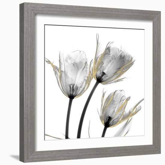 Gold Embellished Tulips 2-Albert Koetsier-Framed Photographic Print