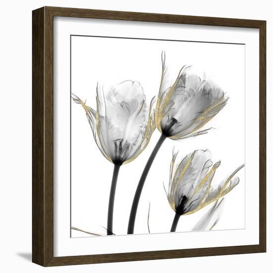 Gold Embellished Tulips 2-Albert Koetsier-Framed Photographic Print