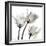 Gold Embellished Tulips 2-Albert Koetsier-Framed Photographic Print