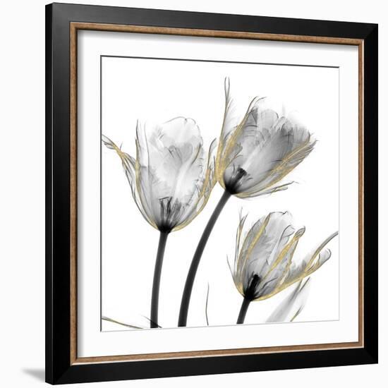 Gold Embellished Tulips 2-Albert Koetsier-Framed Photographic Print