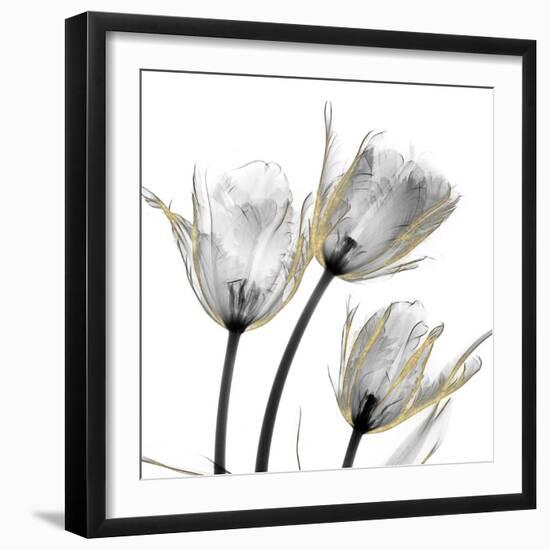 Gold Embellished Tulips 2-Albert Koetsier-Framed Photographic Print