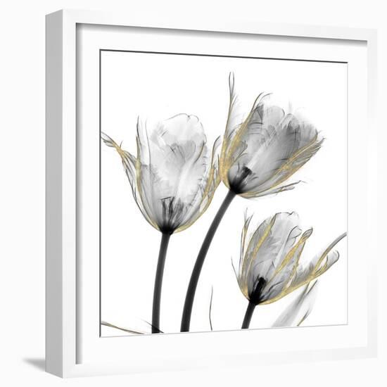 Gold Embellished Tulips 2-Albert Koetsier-Framed Photographic Print