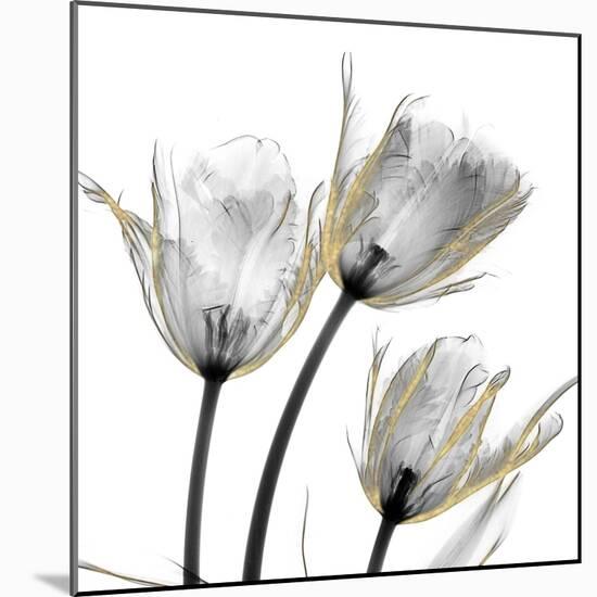 Gold Embellished Tulips 2-Albert Koetsier-Mounted Photographic Print