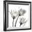 Gold Embellished Tulips 2-Albert Koetsier-Framed Photographic Print