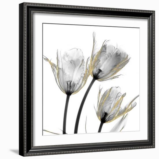 Gold Embellished Tulips 2-Albert Koetsier-Framed Photographic Print