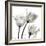 Gold Embellished Tulips 2-Albert Koetsier-Framed Photographic Print