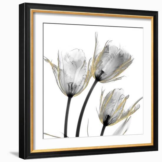 Gold Embellished Tulips 2-Albert Koetsier-Framed Photographic Print