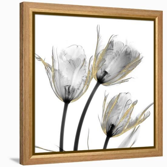 Gold Embellished Tulips 2-Albert Koetsier-Framed Premier Image Canvas