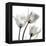 Gold Embellished Tulips 2-Albert Koetsier-Framed Premier Image Canvas