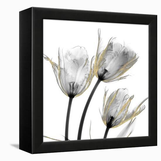 Gold Embellished Tulips 2-Albert Koetsier-Framed Premier Image Canvas