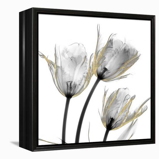 Gold Embellished Tulips 2-Albert Koetsier-Framed Premier Image Canvas