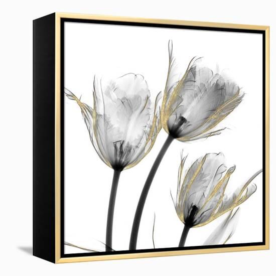 Gold Embellished Tulips 2-Albert Koetsier-Framed Premier Image Canvas