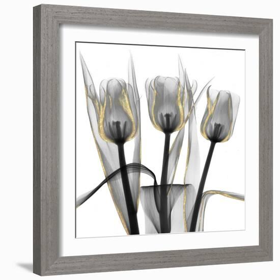 Gold Embellished Tulips 4-Albert Koetsier-Framed Photographic Print