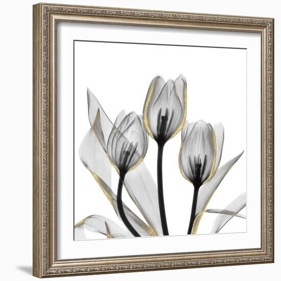 Gold Embellished Tulips 5-Albert Koetsier-Framed Photographic Print