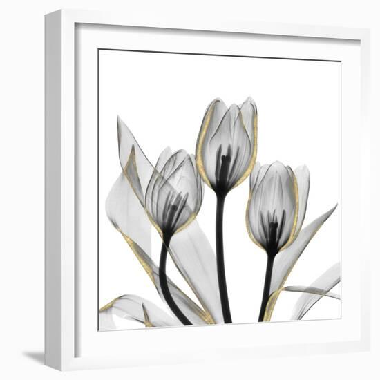 Gold Embellished Tulips 5-Albert Koetsier-Framed Photographic Print