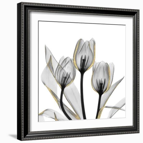 Gold Embellished Tulips 5-Albert Koetsier-Framed Photographic Print