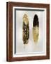 Gold Feather Pair on Silver-Julia Bosco-Framed Giclee Print