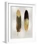 Gold Feather Pair on Silver-Julia Bosco-Framed Giclee Print