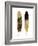 Gold Feather Pair-Julia Bosco-Framed Art Print