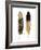 Gold Feather Pair-Julia Bosco-Framed Art Print