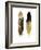 Gold Feather Pair-Julia Bosco-Framed Art Print