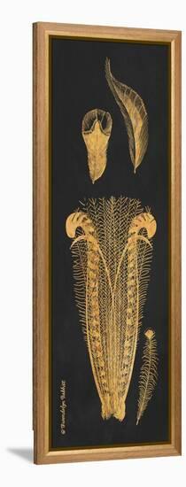 Gold Feathers I-Gwendolyn Babbitt-Framed Stretched Canvas