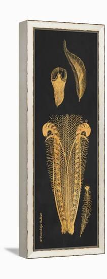Gold Feathers I-Gwendolyn Babbitt-Framed Stretched Canvas